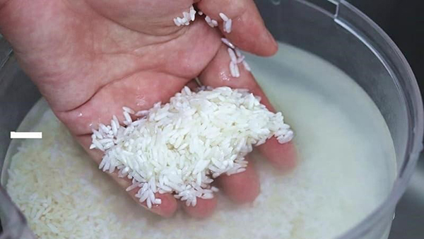 Nguyên liệu chế biến cháo rây ăn dặm cho bé từ gạo