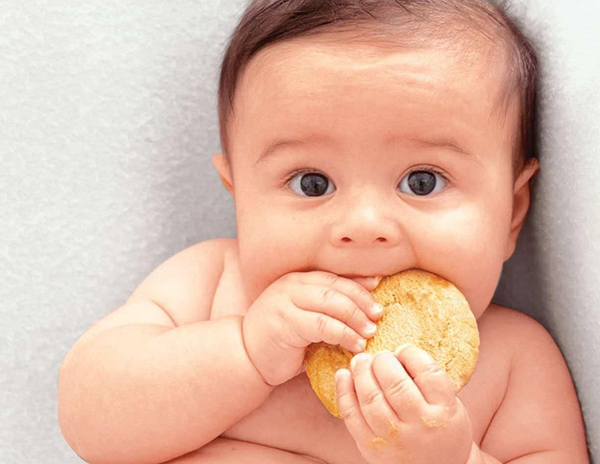 Cho bé ăn bánh ăn dặm khi 6 tháng tuổi